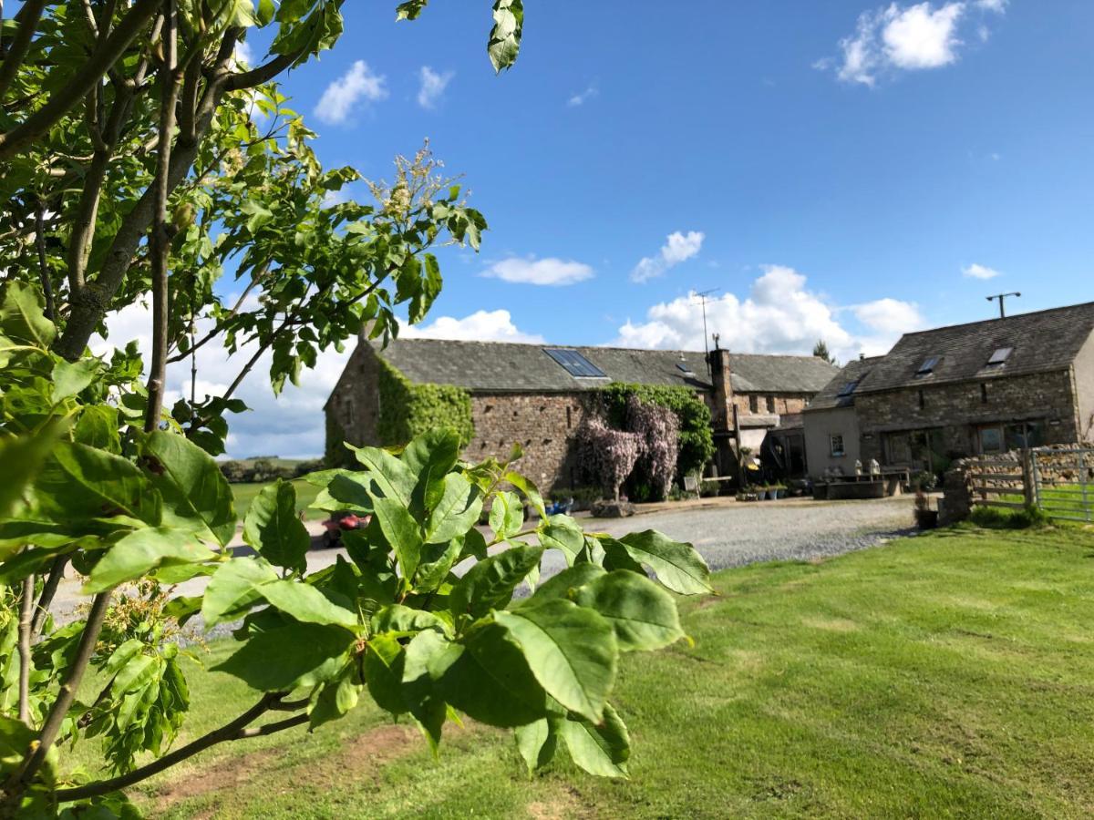 Crake Trees Manor Bed and Breakfast Crosby Ravensworth Eksteriør billede