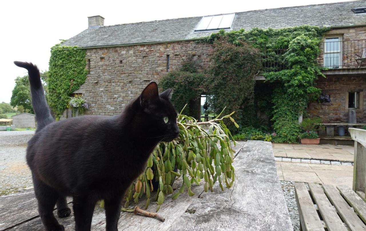 Crake Trees Manor Bed and Breakfast Crosby Ravensworth Eksteriør billede